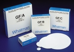 PAPEL MICROFIBRA VIDRIO GF/ A 5.5CM CON 100